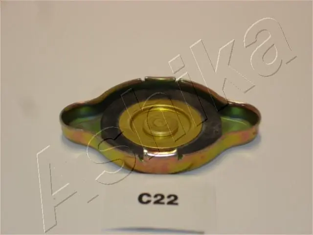 330CC22 Ashika