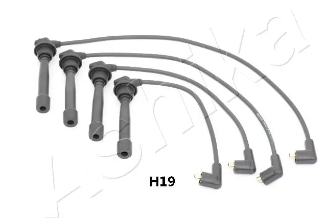 1320HH19 Ashika