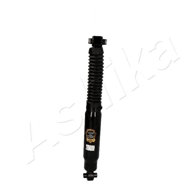 MA00989 Ashika