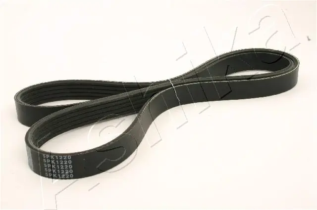 Correa accesorios General Motors 55218885