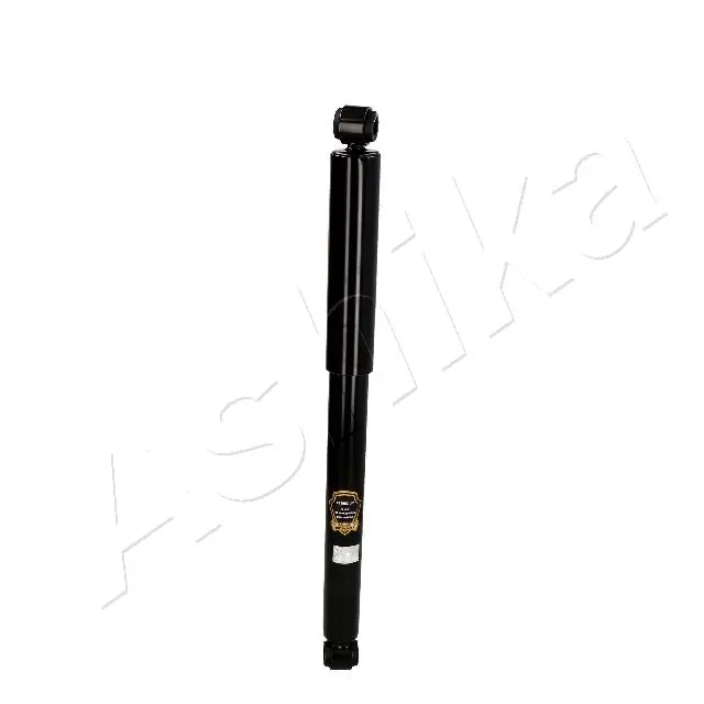 MA22111 Ashika