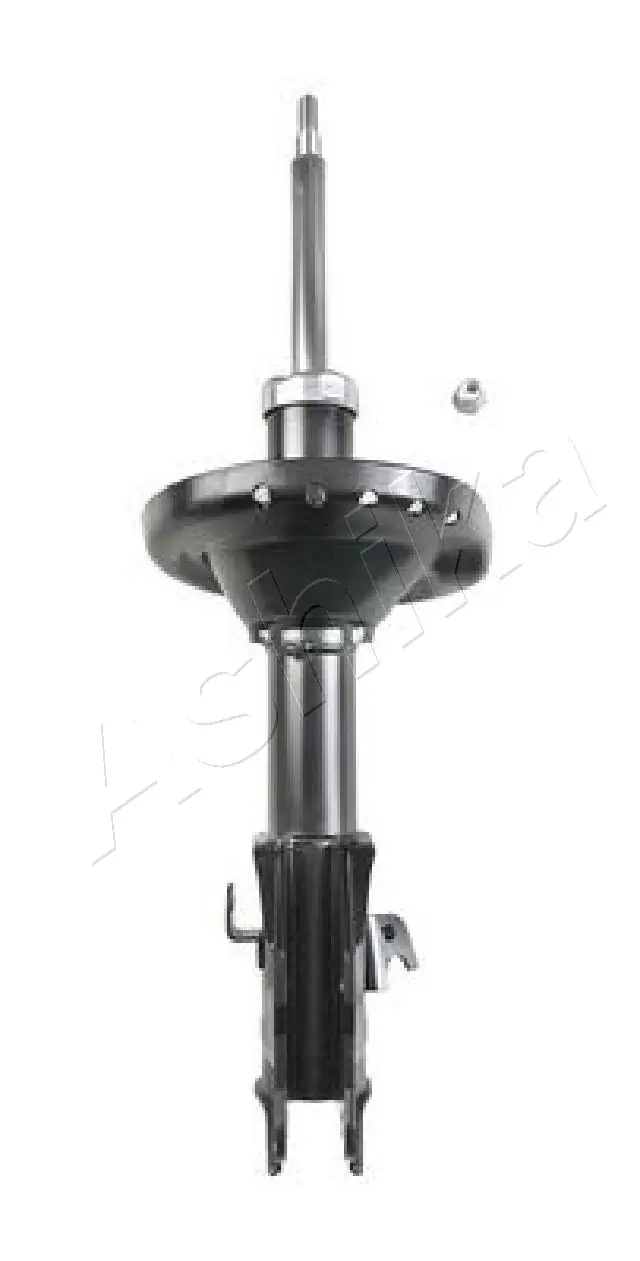 MA70067 Ashika