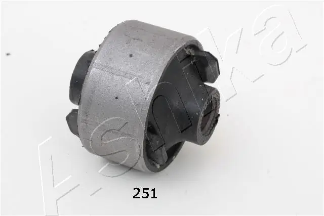 GOM251 Ashika