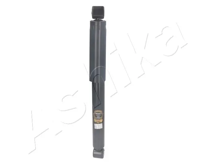 MA00261 Ashika