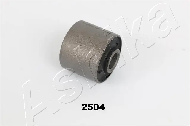 GOM2504 Ashika
