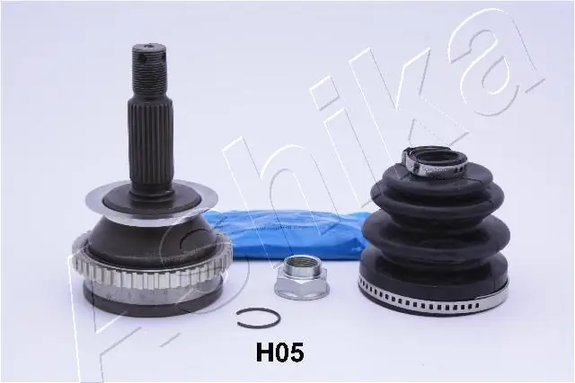 620HH05 Ashika