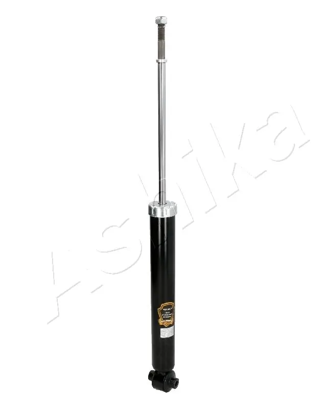 MA22132 Ashika