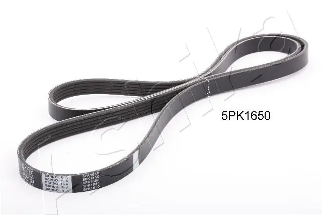 1125PK1650 Ashika