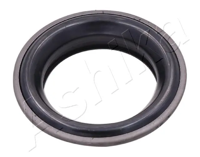 SMA0245 Ashika