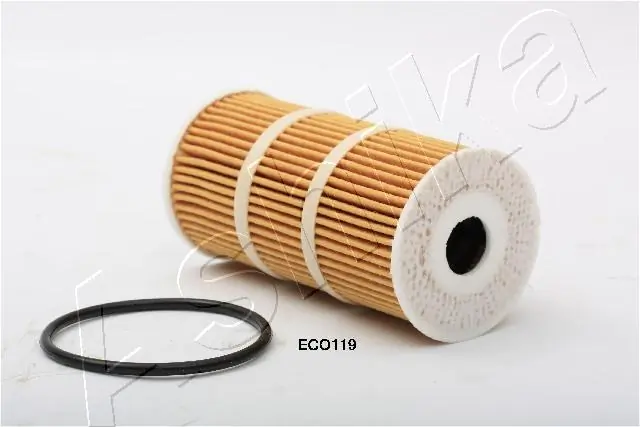 10ECO119 Ashika