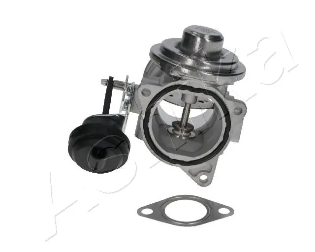 Válvula de regulación de gases Ashika 150000917 precio, desde 52,53 EUR
