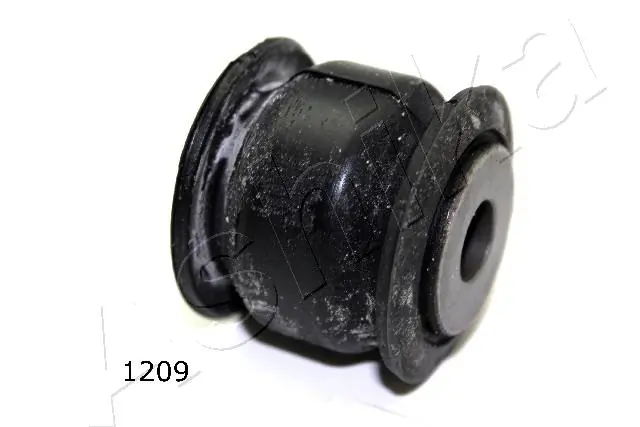 GOM1209 Ashika