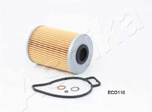 10ECO110 Ashika