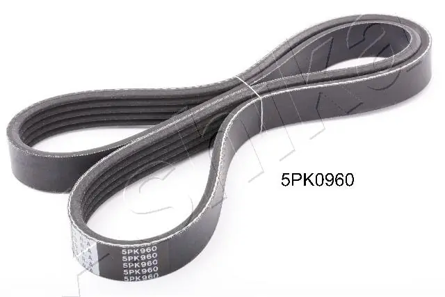 1125PK960 Ashika
