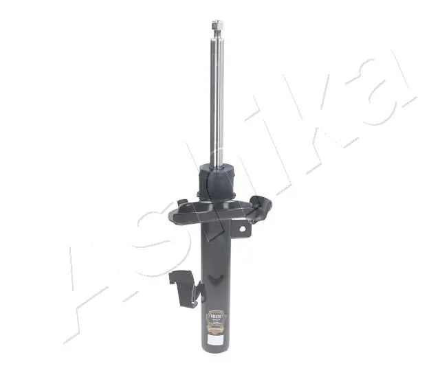 MA00230 Ashika