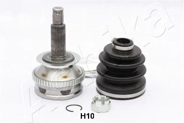 620HH10 Ashika