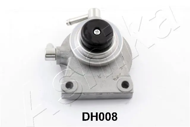 99DH008 Ashika
