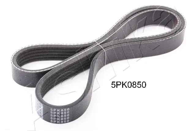 1125PK850 Ashika