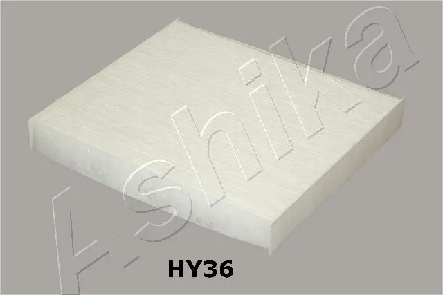 21HYH36 Ashika