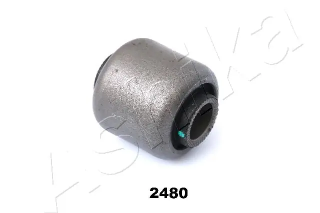 GOM2480 Ashika