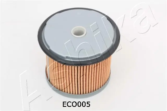 30ECO005 Ashika