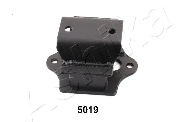 GOM5019 Ashika