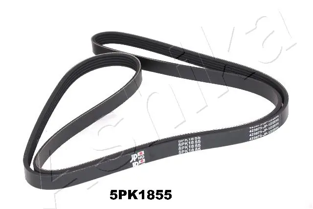1125PK1855 Ashika