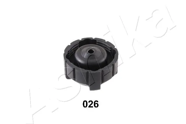 Comprar Tapón depósito de refrigerante Renault 21  L48