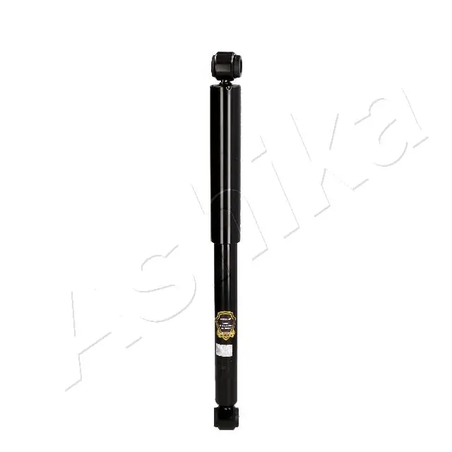 MA22110 Ashika
