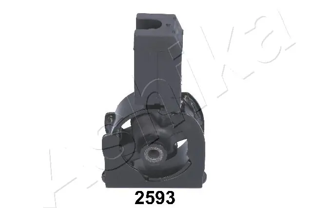 GOM2593 Ashika