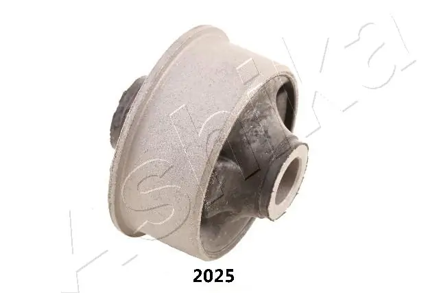 GOM2025 Ashika
