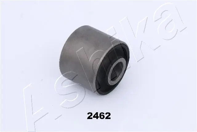 GOM2462 Ashika