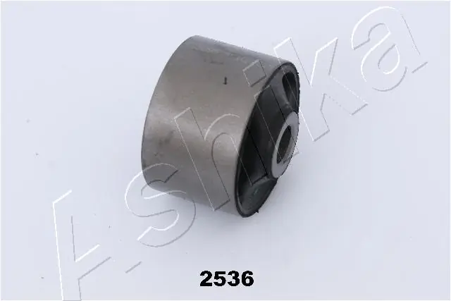 GOM2536 Ashika