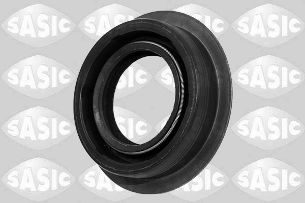 1950013 Sasic