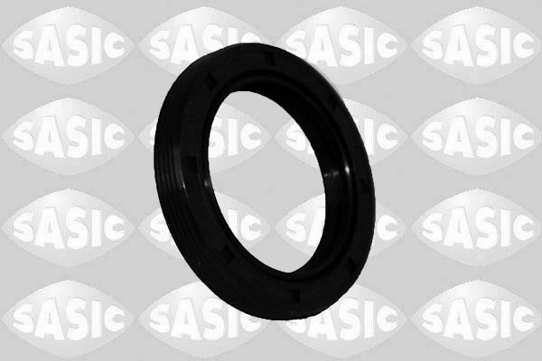 1954008 Sasic