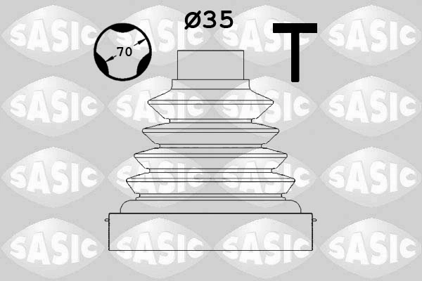 1900021 Sasic