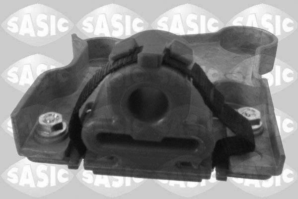 2950013 Sasic