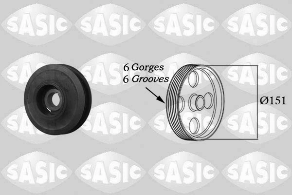 2156008 Sasic