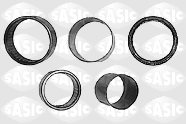 4005350 Sasic