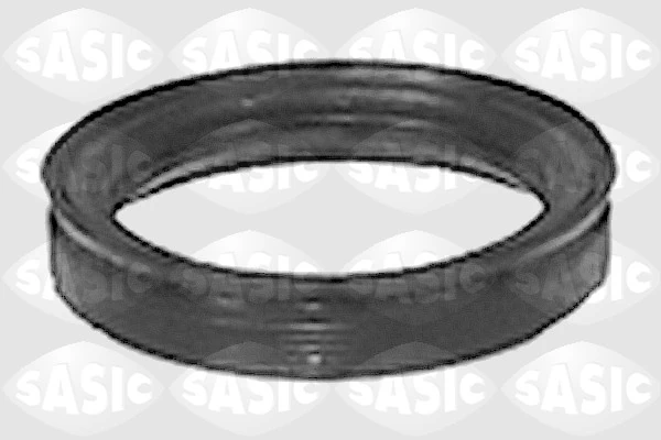 1545085 Sasic