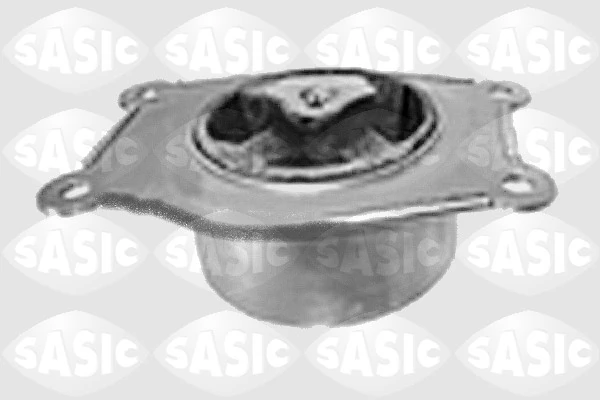 9001666 Sasic