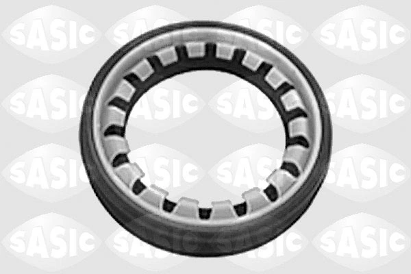 1950001 Sasic