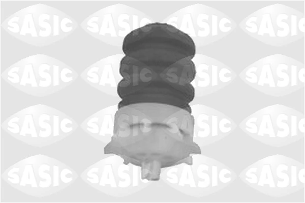 1665675 Sasic