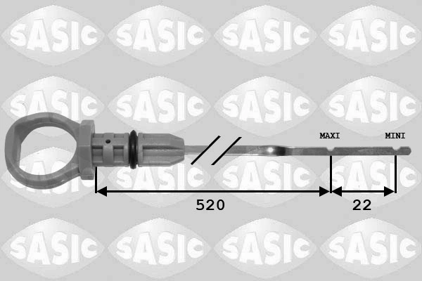 1940002 Sasic