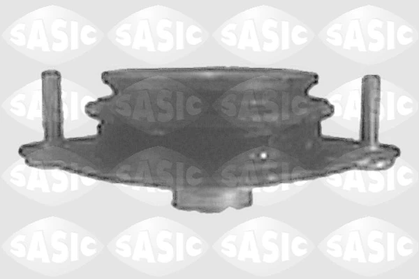 4001750 Sasic
