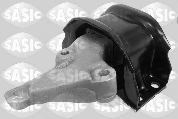 2700075 Sasic