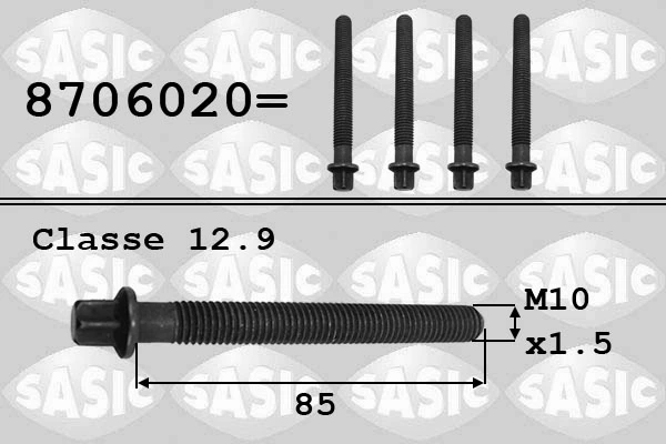 8706020 Sasic