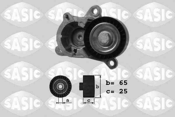 1620041 Sasic