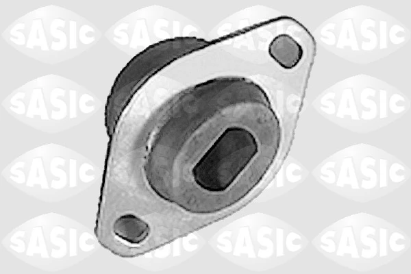 8431951 Sasic