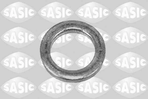 1950009 Sasic